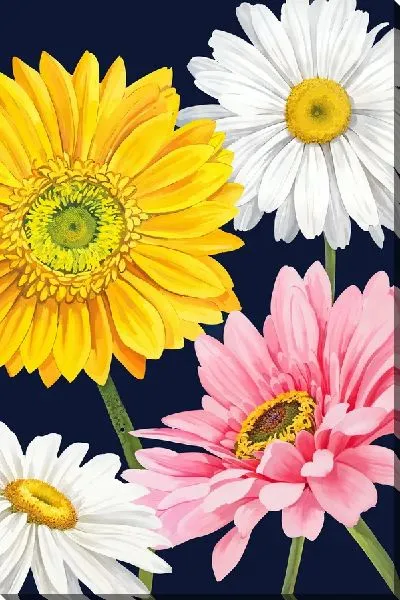 Картина маслом Цветные ромашки