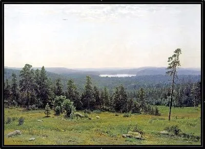 Лесные дали