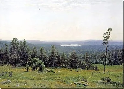 Лесные дали