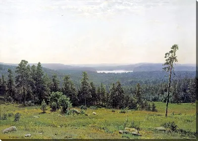 картина