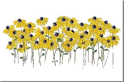 Картина маслом Желтые ромашки на белом фоне