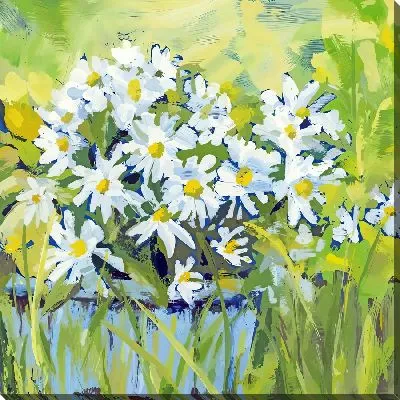 Картина маслом Ромашки в кашпо на природе