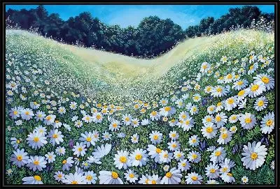 Ромашковое поле на холмах