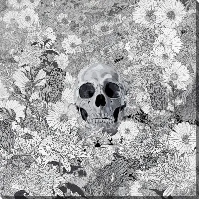 Череп между ромашек