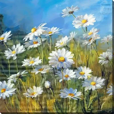 Постер Поле с летними ромашками