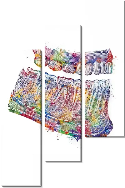 Модульная картина Челюсть в стиле поп-арт