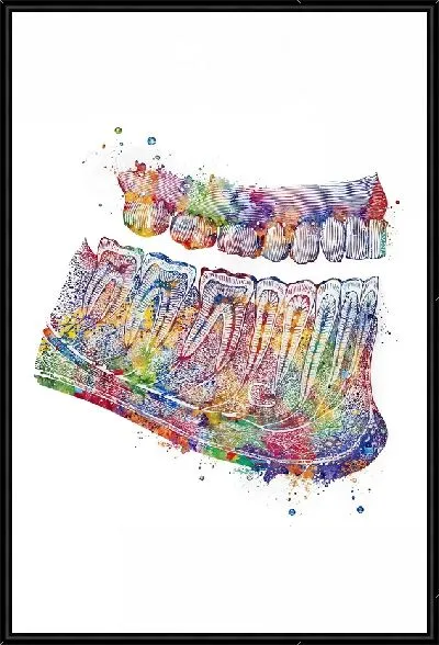 Картина Челюсть в стиле поп-арт