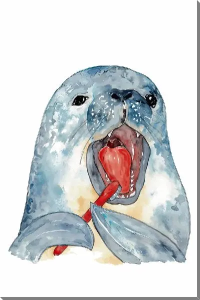 Постер Морской котик чистит зубы