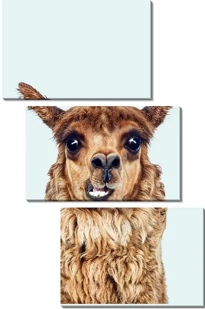 Модульная картина Альпака с зубами