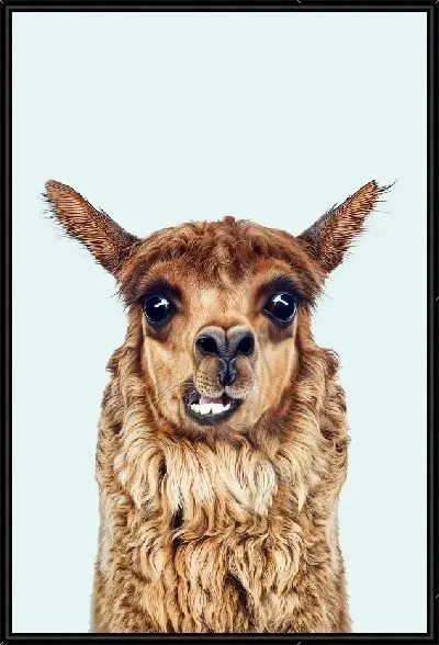 Картина Альпака с зубами