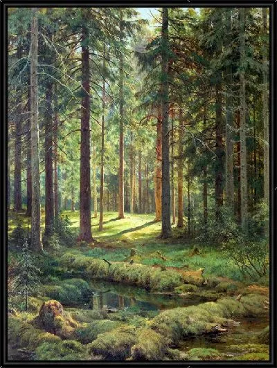 Картина Хвойный лес. Солнечный день