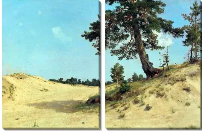 Картина Сосна на песке (Pine on the sand)