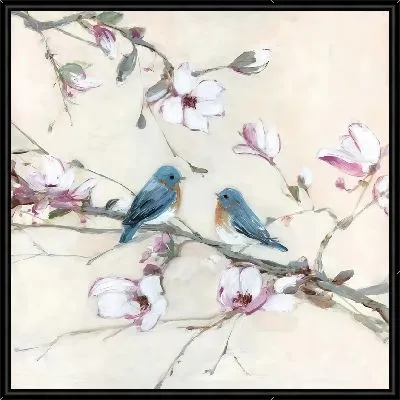 Птицы воркуют на ветке сакуры