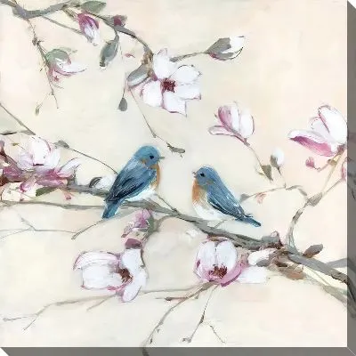 Птицы воркуют на ветке сакуры