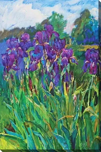 Картина маслом Ирисы на поляне