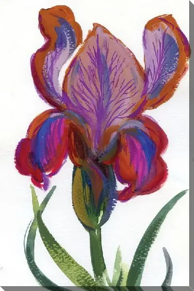 Картина маслом Цветок ириса