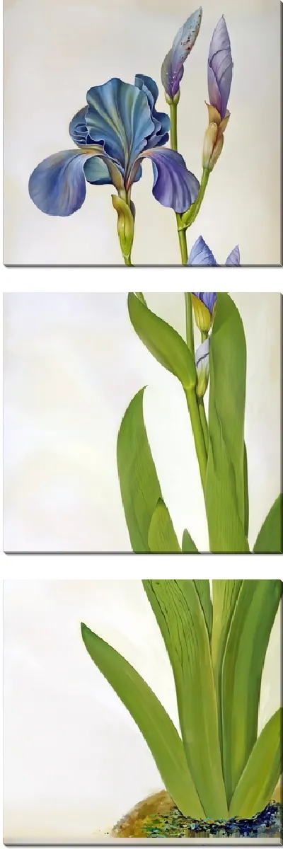 Модульная картина Ирис со стеблем