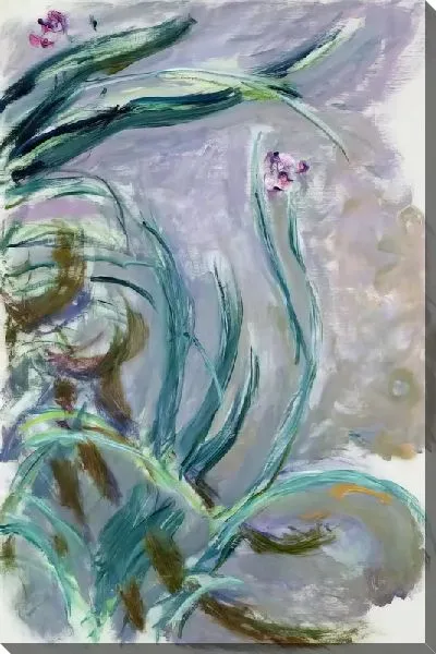 Картина маслом Абстрактные ирисы