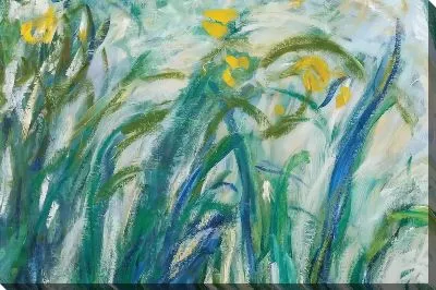 Картина маслом Ирисы №4