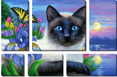 Модульная картина Кошка и ирисы с бабочкой