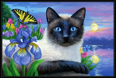 Кошка и ирисы с бабочкой