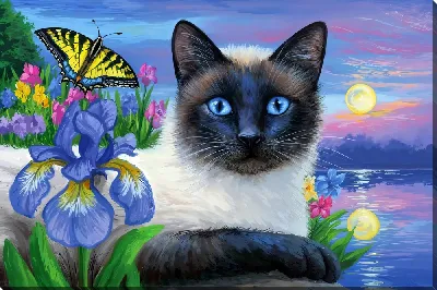 Кошка и ирисы с бабочкой