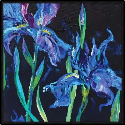 Ирисы на черном фоне