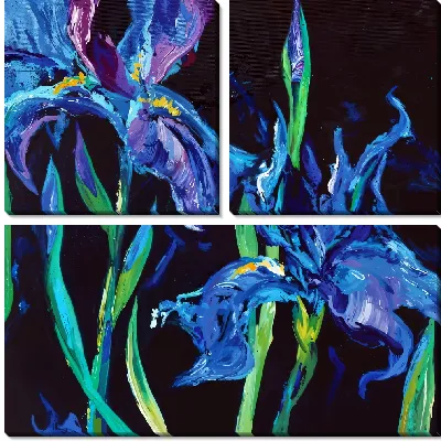 Ирисы на черном фоне