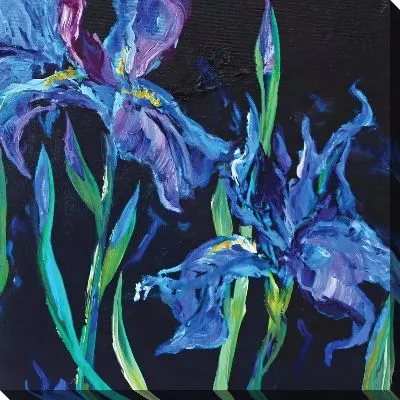 Ирисы на черном фоне