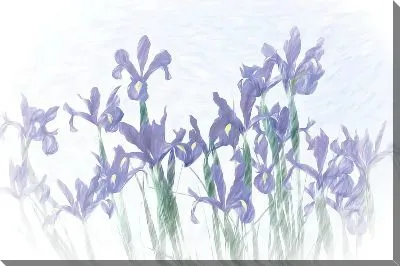 Картина маслом Нежные ирисы