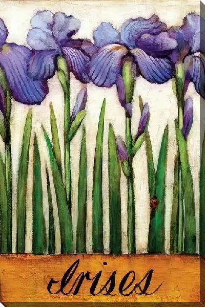 Картина маслом 3 ириса