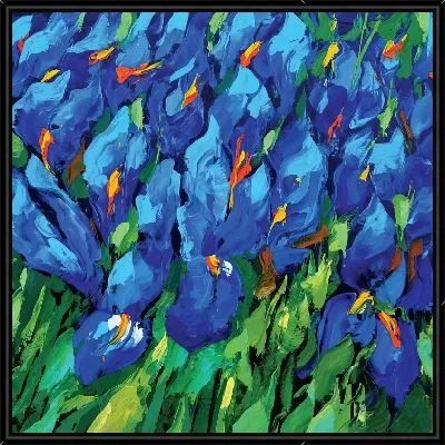 Синие ирисы на поле