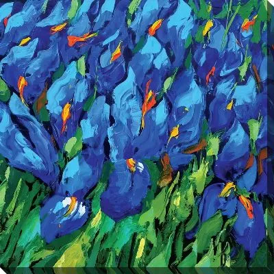 Синие ирисы на поле