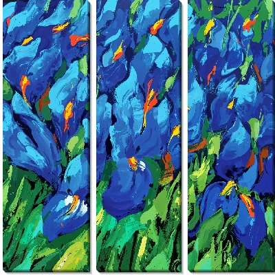 Синие ирисы на поле