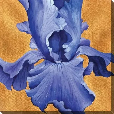 Картина маслом Макро цветка ириса