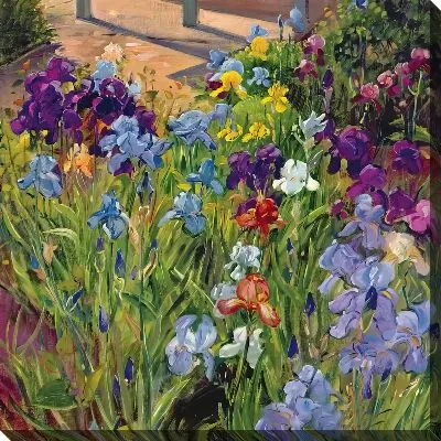 Картина маслом Клумба с ирисами