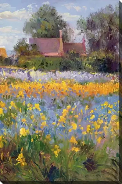 Картина маслом Поле с желтыми ирисами в деревне