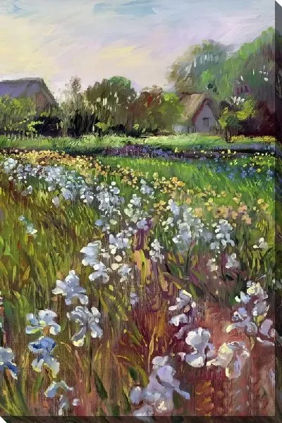 Картина маслом Поле бело-голубых ирисов в деревне