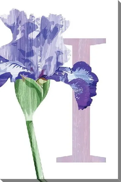 Картина маслом I  - ирис