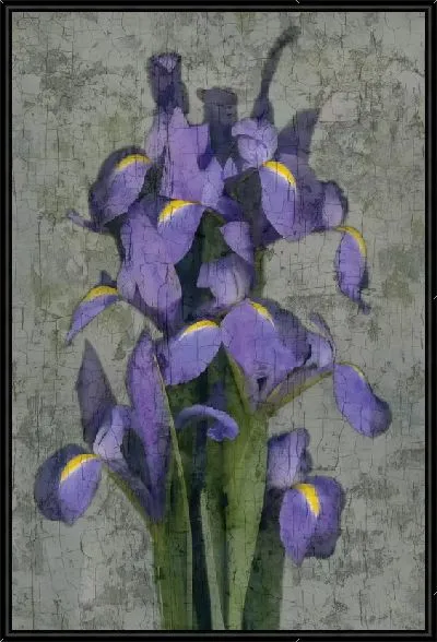 Картина Букет ирисов со стеблями