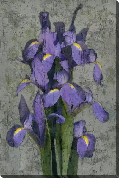 Картина маслом Букет ирисов со стеблями