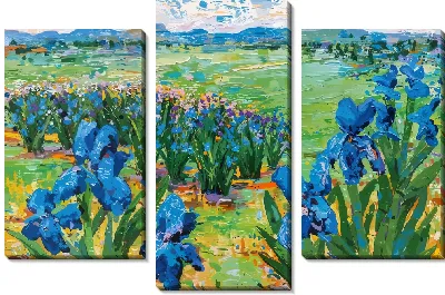 Долина с ирисами