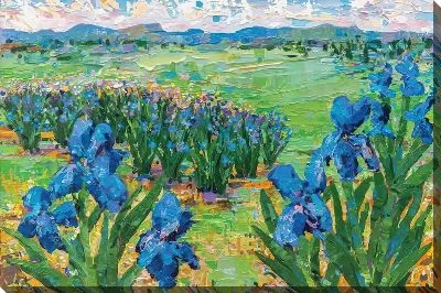 Долина с ирисами