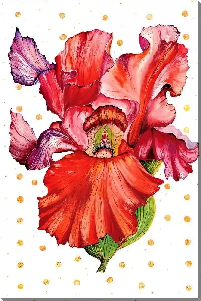 Картина маслом Красный ирис