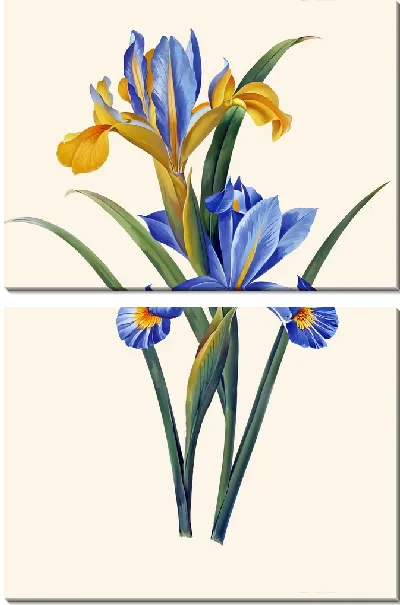 Модульная картина Ирисы на персиковом фоне