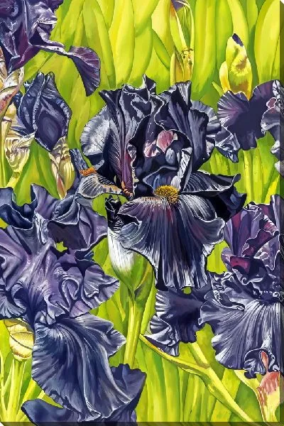 Картина маслом Черные ирисы и листья