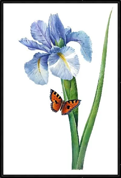 Картина Ирис и бабочка