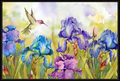 Колибри и ирисы