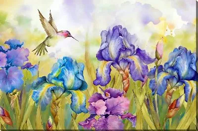 Колибри и ирисы