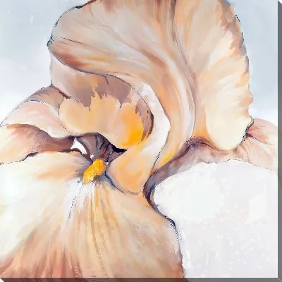 Картина маслом Макро ирисы